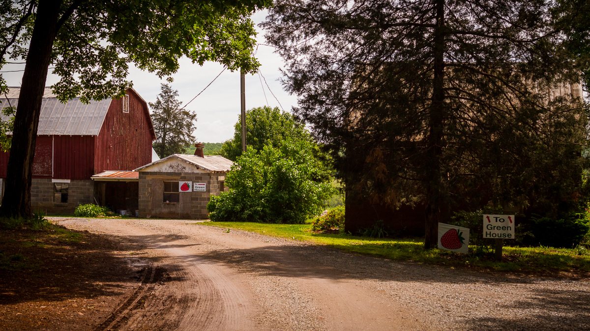 About Us Yoders' Farm Fresh Local Produce Rustburg, Lynchburg