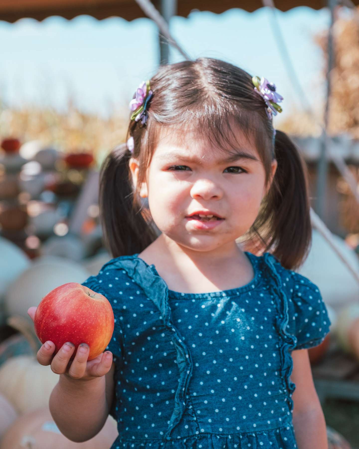 Half Way Through the 2019 Fall Season - Yoders' Farm